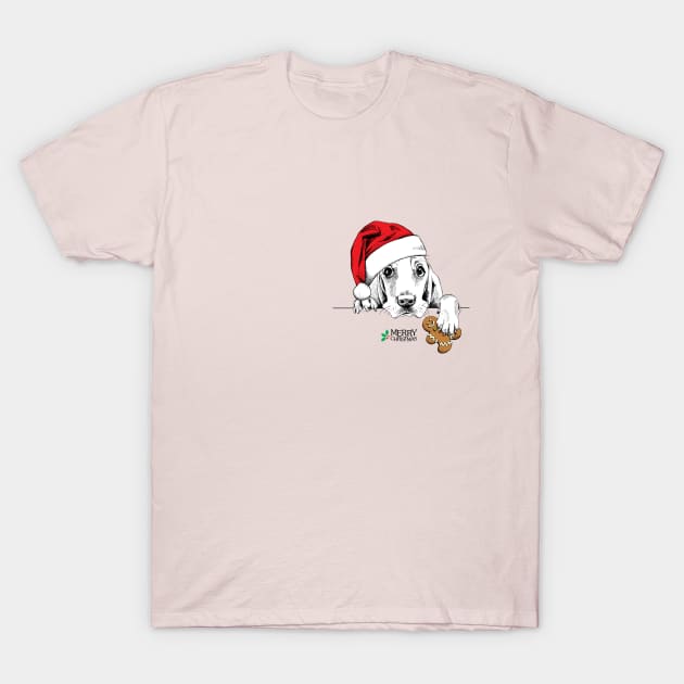 Christmas Pooch In A Pocket T-Shirt by cameradog